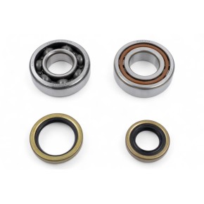 Kit cuscinetti albero motore e paraoli PROX PX23.CBS61003