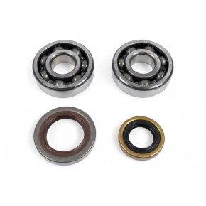 Kit cuscinetti albero motore e paraoli PROX PX23.CBS61009