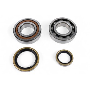 Kit cuscinetti albero motore e paraoli PROX PX23.CBS73022