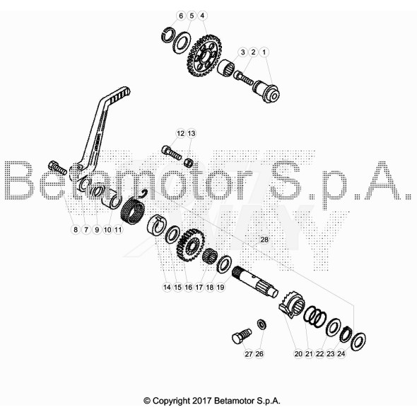 RONDELLA SPESS. .25.0,40