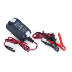 Carica batterie/mantenitore di carica per batterie al litio e al piombo da 6 o da 12V UB810