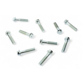 Viti japan style M8 x 35mm (10 pezzi) VT2069