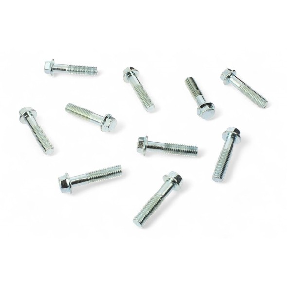 Viti japan style M8 x 35mm (10 pezzi) VT2069