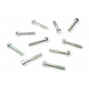 Viti japan style M8 x 40mm (10 pezzi) VT2070