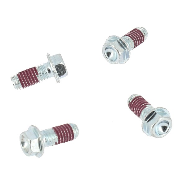 Viti HAAN WHEELS per disco freno GASGAS HONDA HUSQVARNA KTM (4 pezzi) VT3024