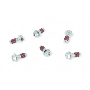 Viti HAAN WHEELS per disco freno (6 pezzi) VT3026