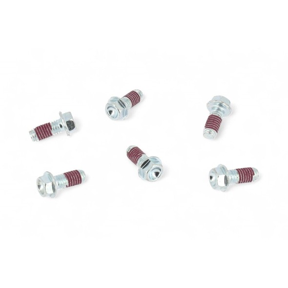 Viti HAAN WHEELS per disco freno (6 pezzi) VT3026