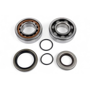 Kit cuscinetti albero motore e paraoli BWX XCBK60002