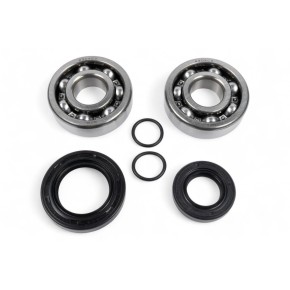 Kit cuscinetti albero motore e paraoli BWX XCBK60012