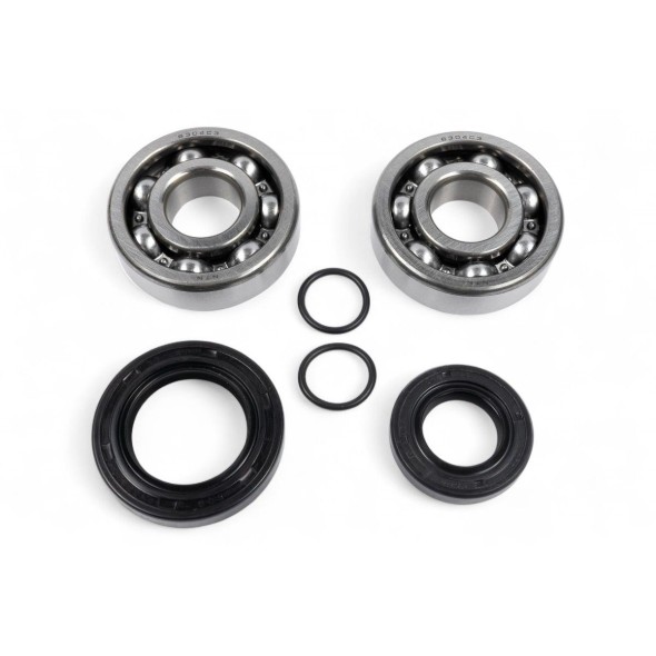 Kit cuscinetti albero motore e paraoli BWX XCBK60012