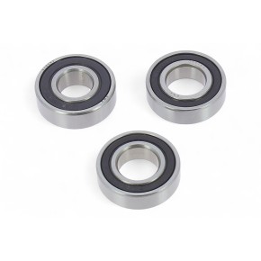 Kit cuscinetti ruota posteriore BWX XWBK60016