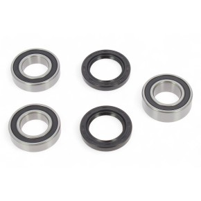 Kit cuscinetti ruota posteriore BWX XWBK75001