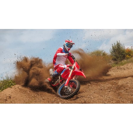 BETA - RX 450 4T MY 2026