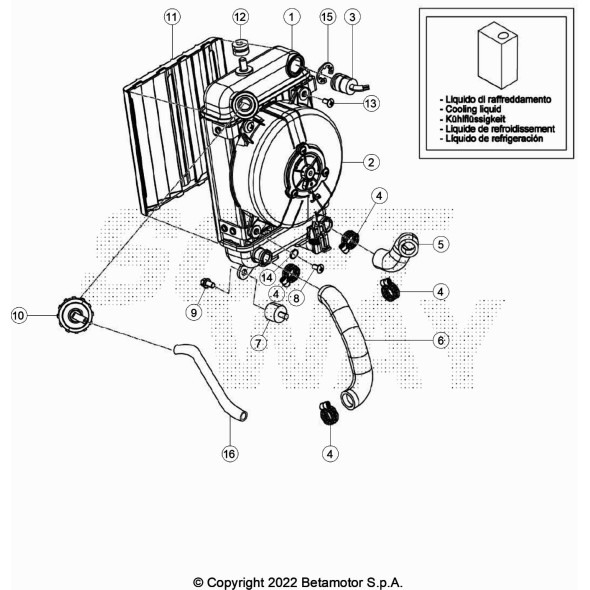 RADIATORE VTM-TS-FS'09
