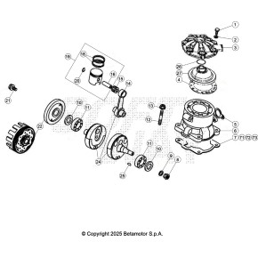 ALBERO MOTORE EVO 2T 125CC