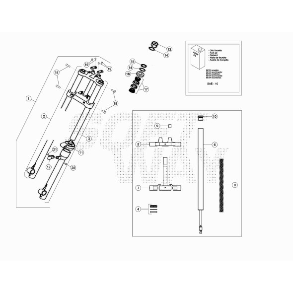DADO SERIE STERZO M.TRIAL (09 63500400F)