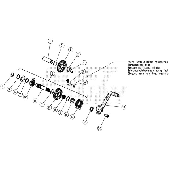 ALBERO MESSA IN MOTO REV 4T