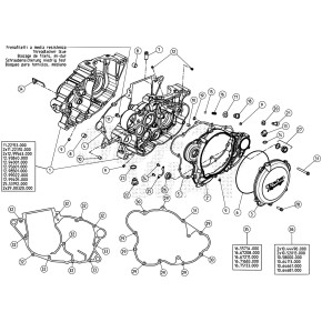 BULLONE 6.60 RS CH 8