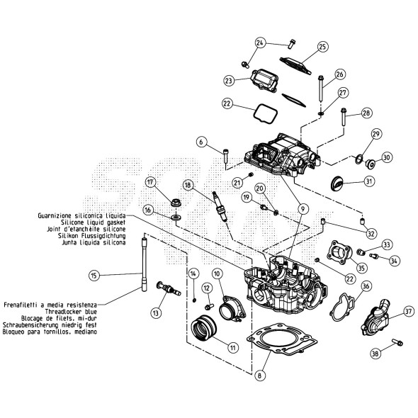MANICOTTO PER RACCORDO CARBURATORE EVO 22.13207.000