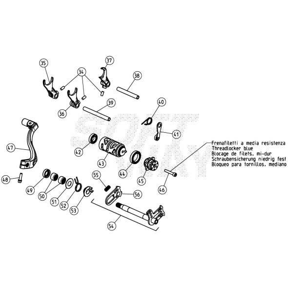 LEVA ARRESTO MARCE CON P.I.