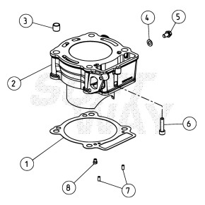 GUARNIZIONE CILINDRO