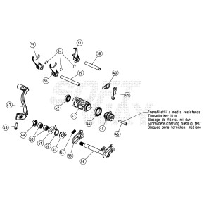 LEVA ARRESTO MARCE CON P.I.