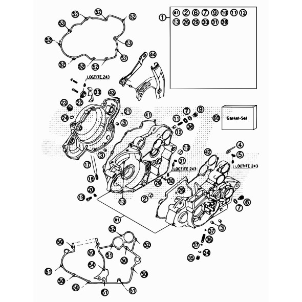 GRANO DI RIFERIMENTO X X 36.25221.000