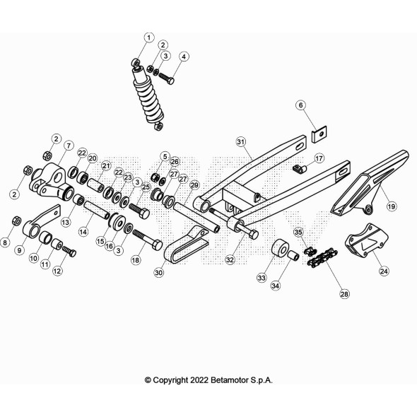 RONDELLA SPEC. .25.3