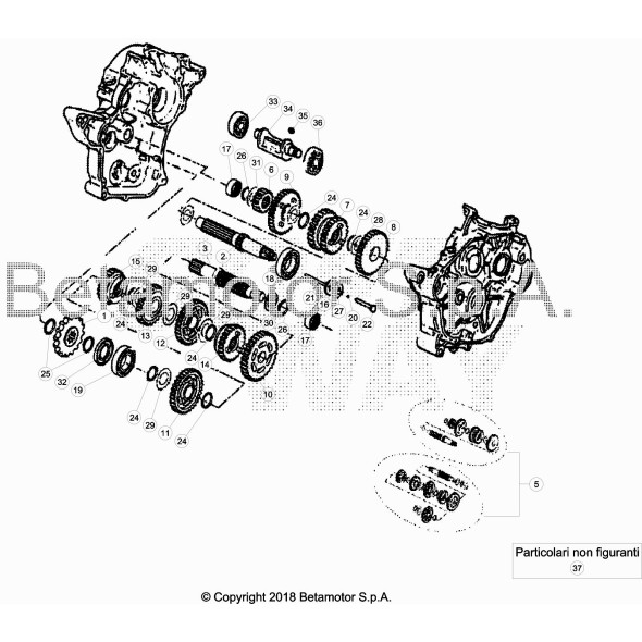 RONDELLA RASAMENTO SP.1,0