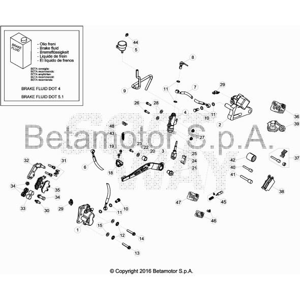 TUBO SERBATOIO-P/FRENO POST. RR