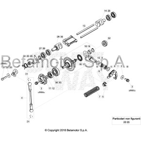 RALLA REGGISPINTA AS1226