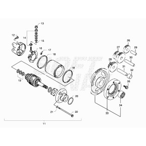 ANELLO OR 3.24,5 (09280-24003)