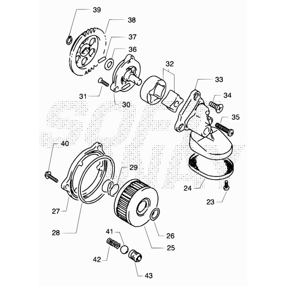 BULLONE (01547-06203)