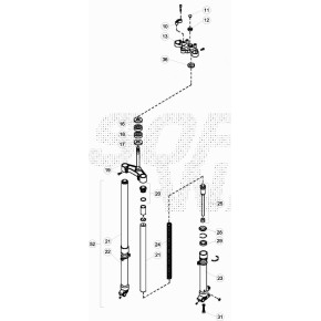 GAMBA DX FORCELLA .08033
