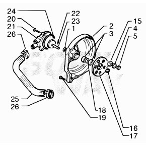 ANELLO OR ,7.1,78 (N.2212)