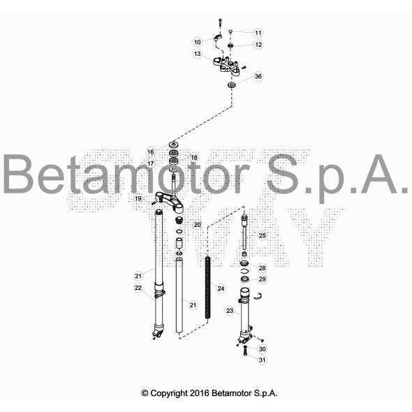 GAMBA SX FORCELLA .08031