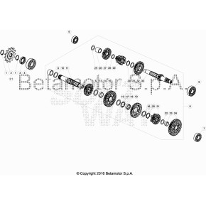 PIGNONE CATENA Z.13 TECHNO/REV/EVO