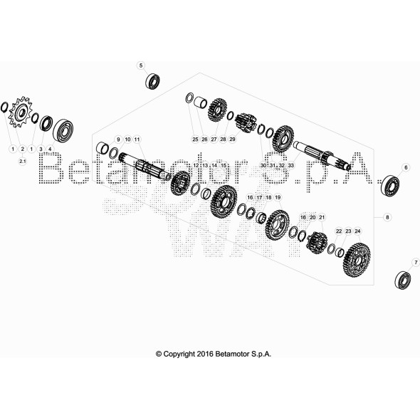 PIGNONE CATENA Z.13 TECHNO/REV/EVO