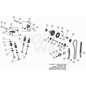 SCODELLINO SUPERIORE