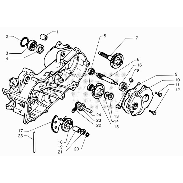 ALBERO USCITA MOTO COMPL.Z.42