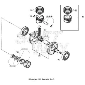 ASSE ACCOPPIAMENTO (12210-42A01)