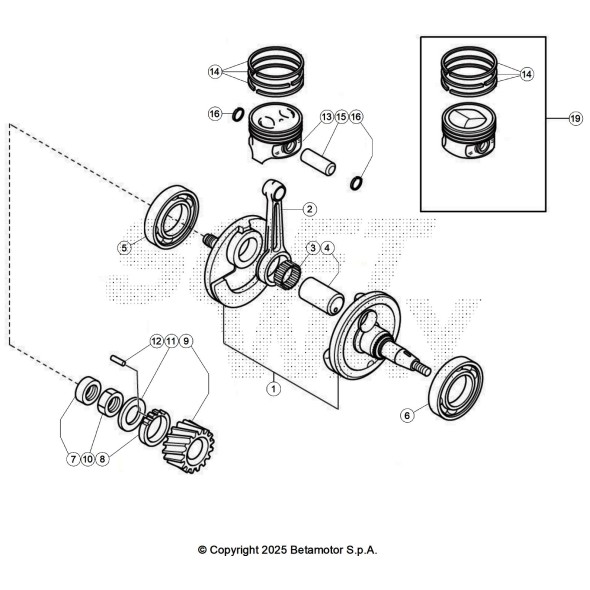 SERIE SEGMENTI +0,5 (12140-19B10-050)