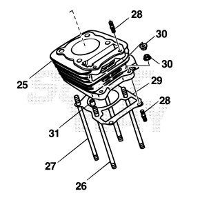 PRIGIONIERO 8.167 (09108-08184)