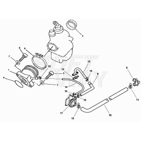 RACCORDO MANICOTTO CARB. ALP 4T 125CC'06