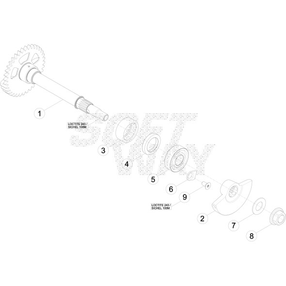 VITE "TORX" M5X10 INOX