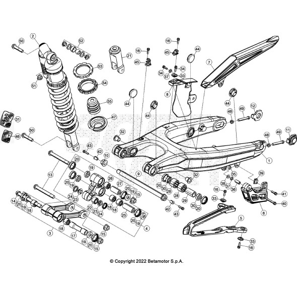 FORCELLONE RR 4T -FACTORY-