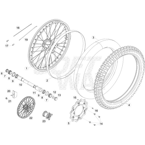 RAGGIO ANT.(EST.L.DISCO)(INT.L.DX)