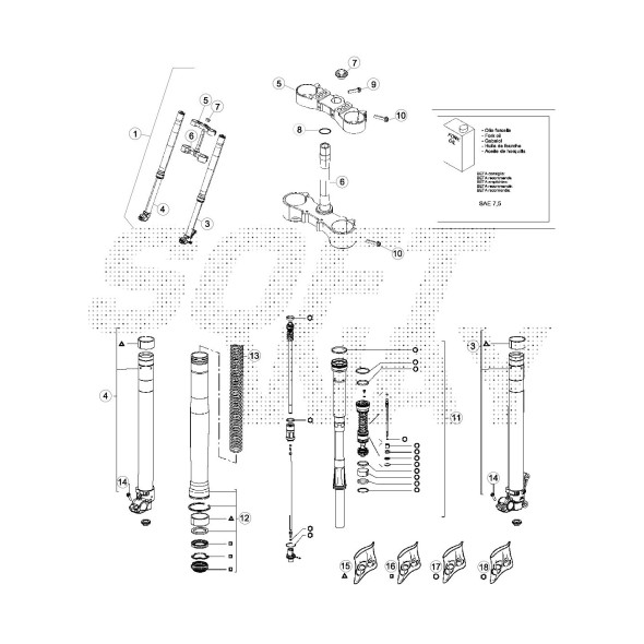 KIT PARAOLI FORC. D.48 RR RACING