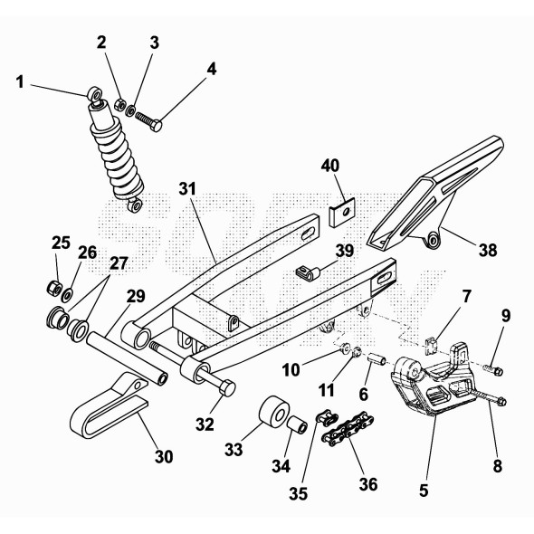 FORCELLONE RR 50CC STD -VERN.ALL.-