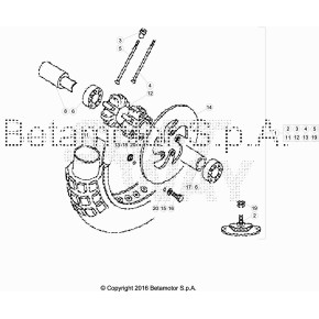 RUOTA ANTERIORE EVO 2T SENIOR